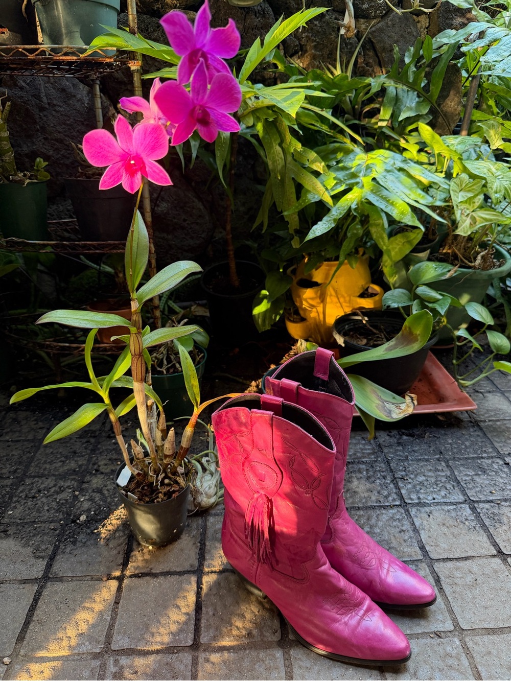 Vintage LAREDO Hot Pink Concho fringe detail heeled cowboy boots